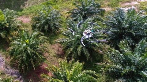 Uso de drones en el agro