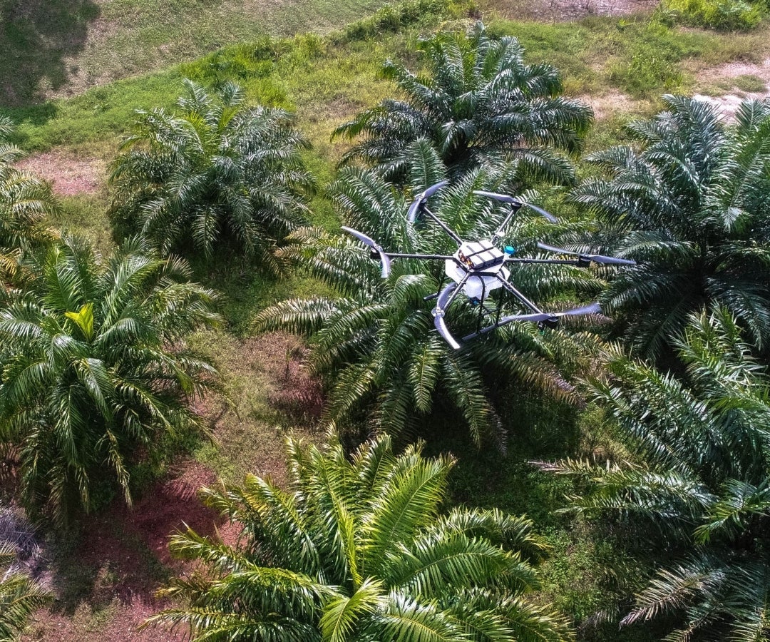 Uso de drones en el agro
