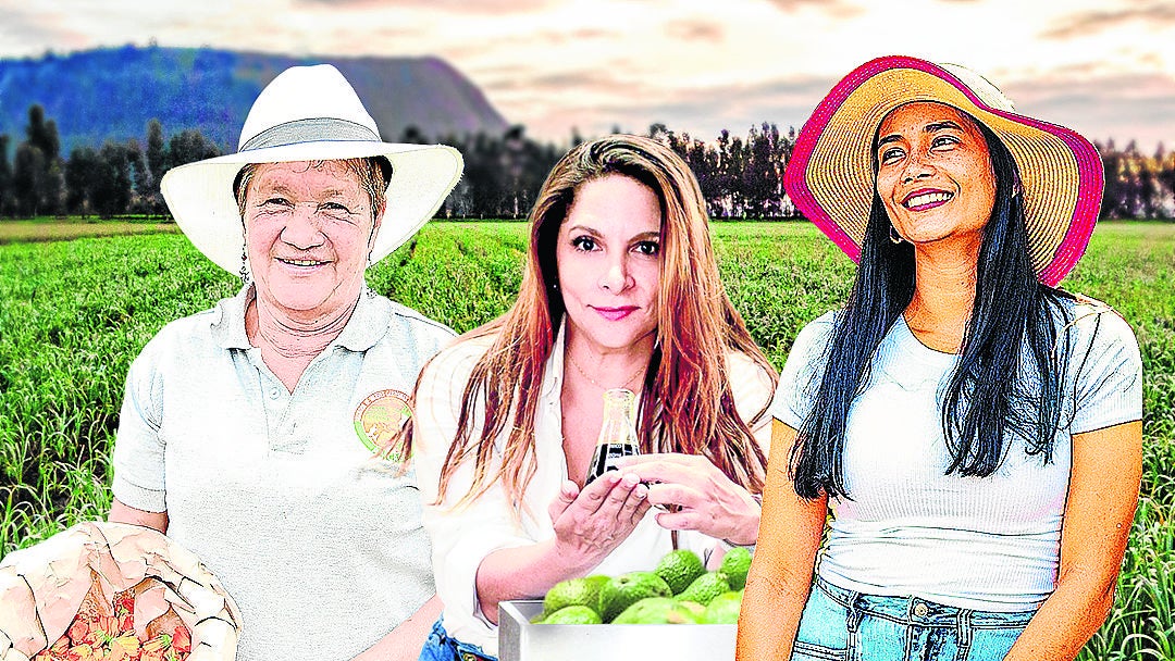 Rosa Angélica Duque, representante legal de la Asociación de Mujeres Campesinas Buscando Futuro: Carolina Gómez, CEO de Nat Green International; Daniela Rayo, creadora de Fertirayo