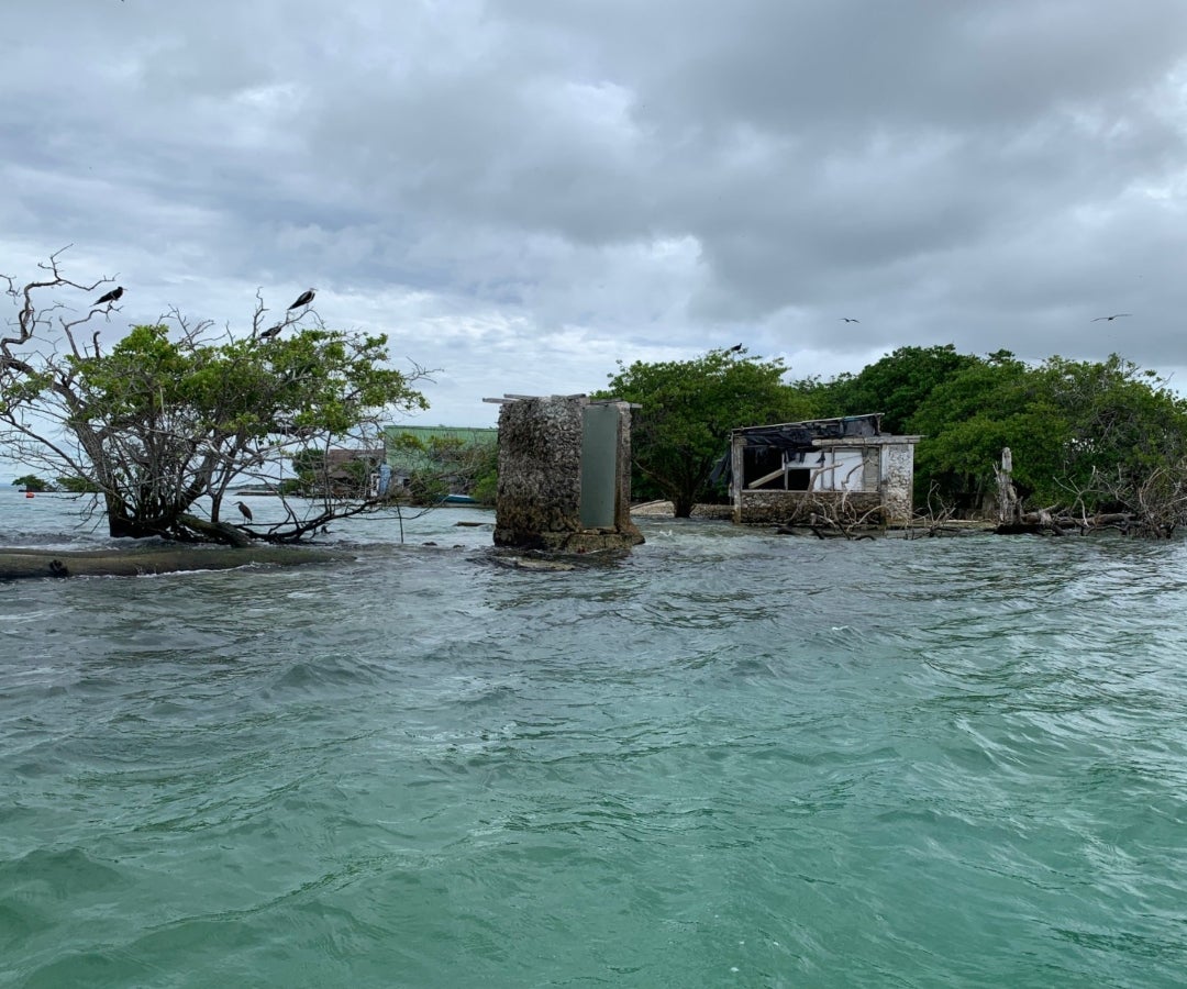 ANT adelanta recuperación de predios en Islas del Rosario