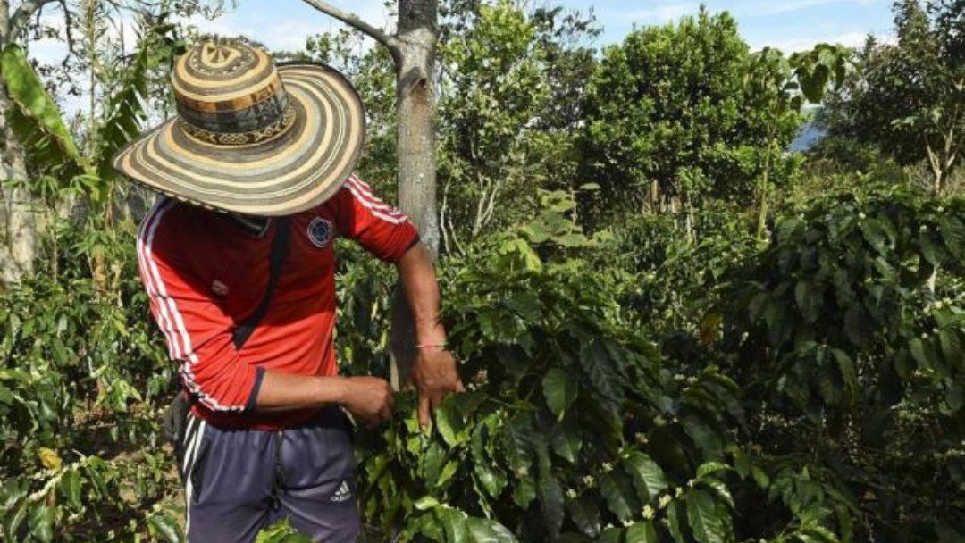 Aprueban juzgados y tribunales para la reforma agraria