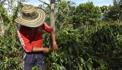 Aprueban juzgados y tribunales para la reforma agraria