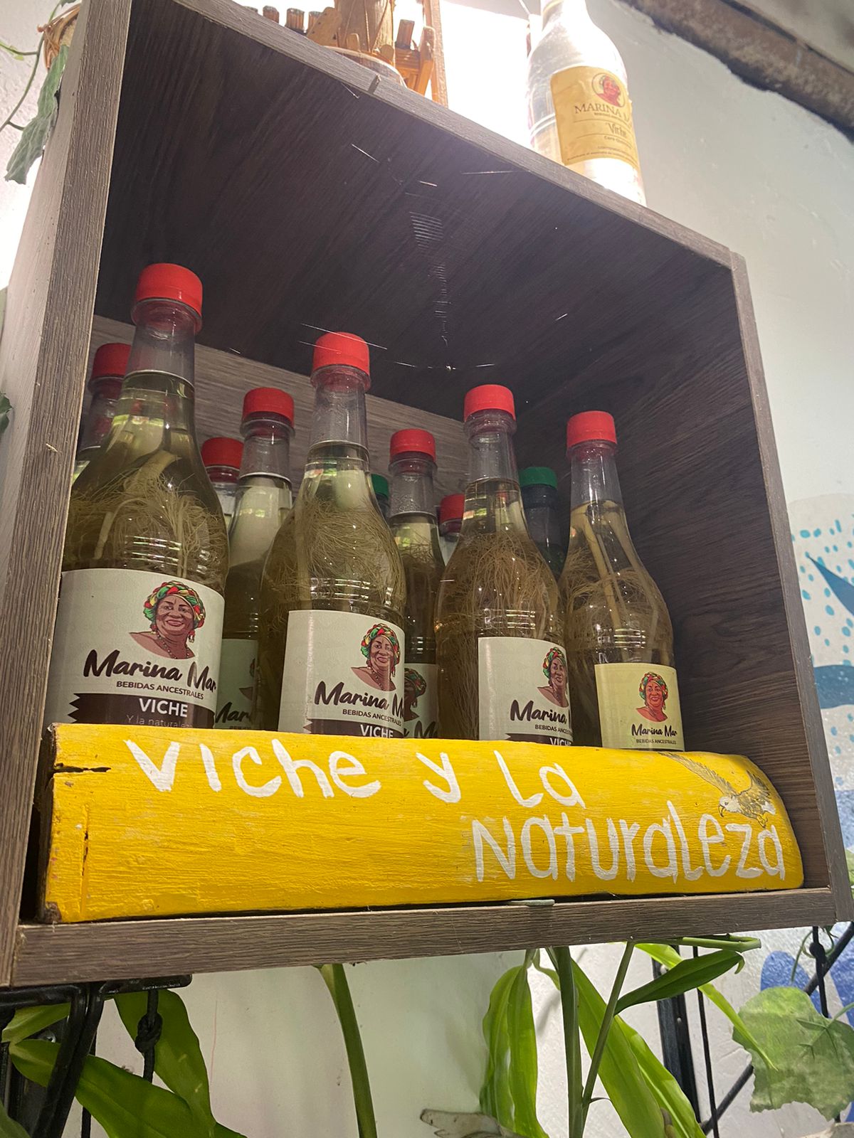 Variedades de viche y curao'