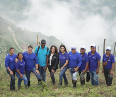 Comunidad Nasa de Miranda, Cauca comercializa su primera producción de mora