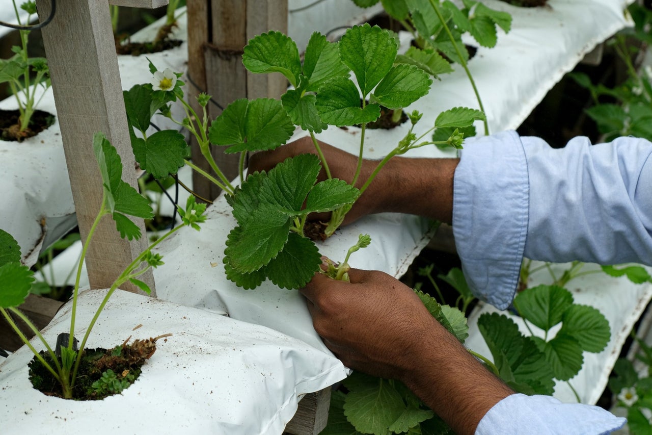 Evento El ICA llevará a cabo Primer Congreso Internacional de