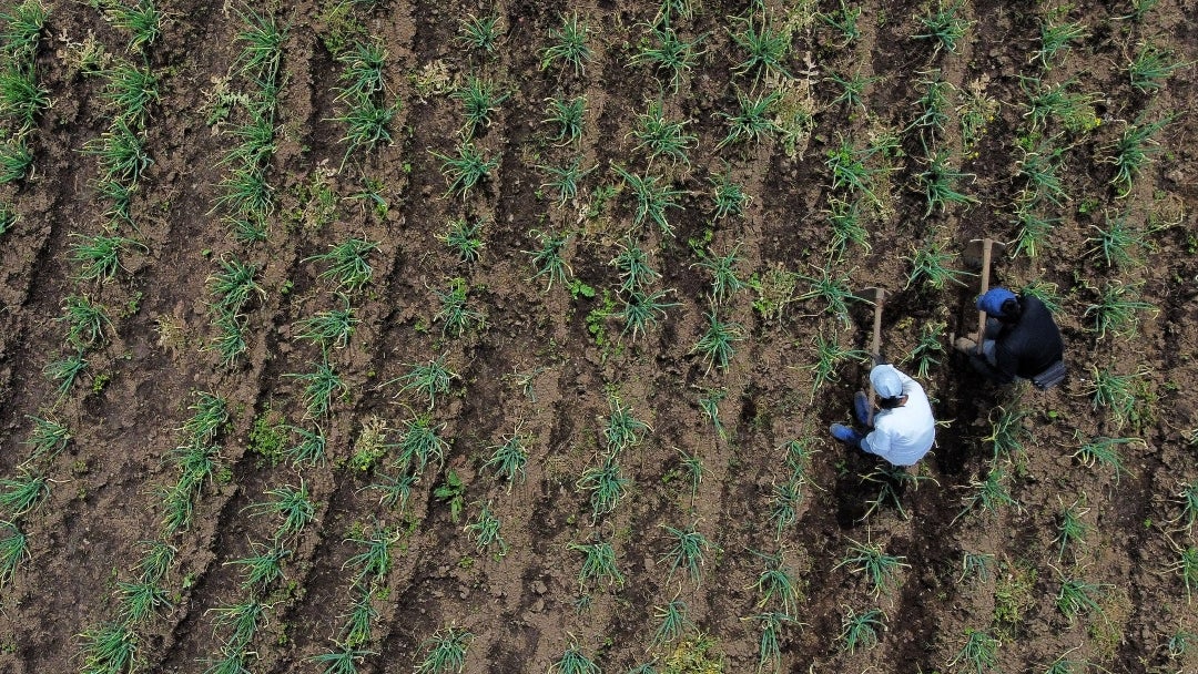 Formalización de tierras