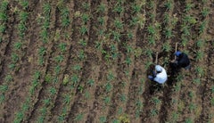 Formalización de tierras