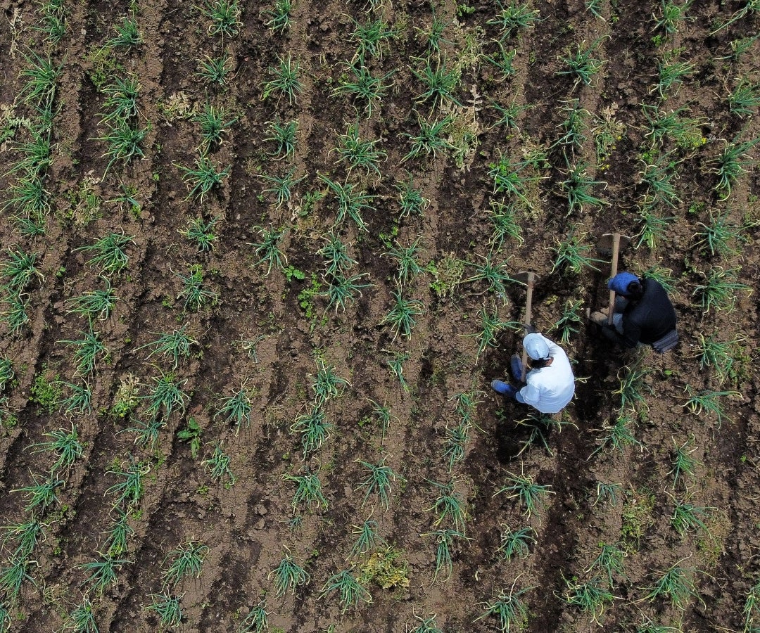 Formalización de tierras