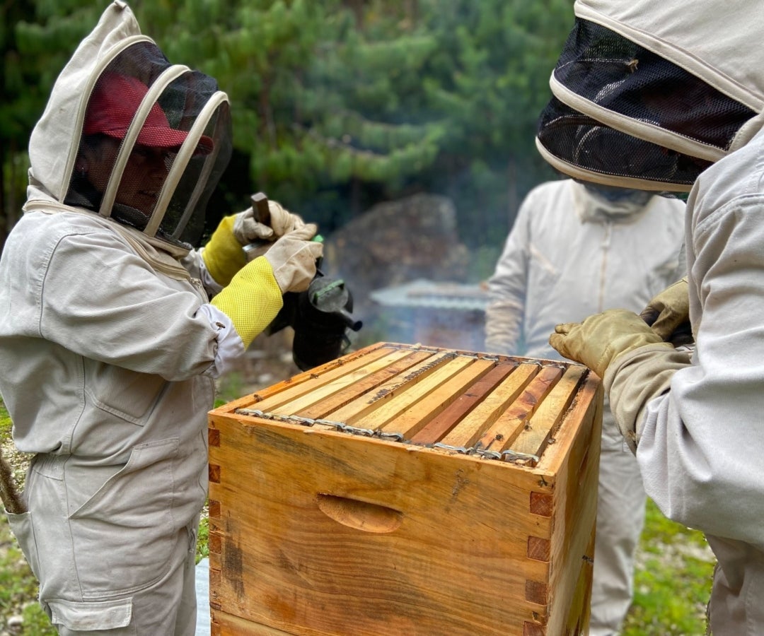 Apiario Villa Marcela, ubicado en Sogamoso, Boyacá