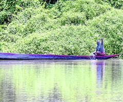 Ecosistemas del dique