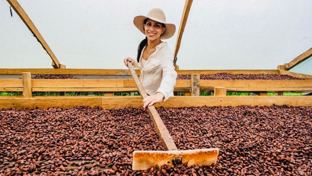 Producción de cacao