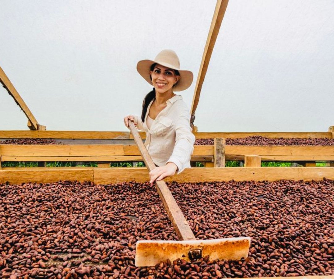 Producción de cacao