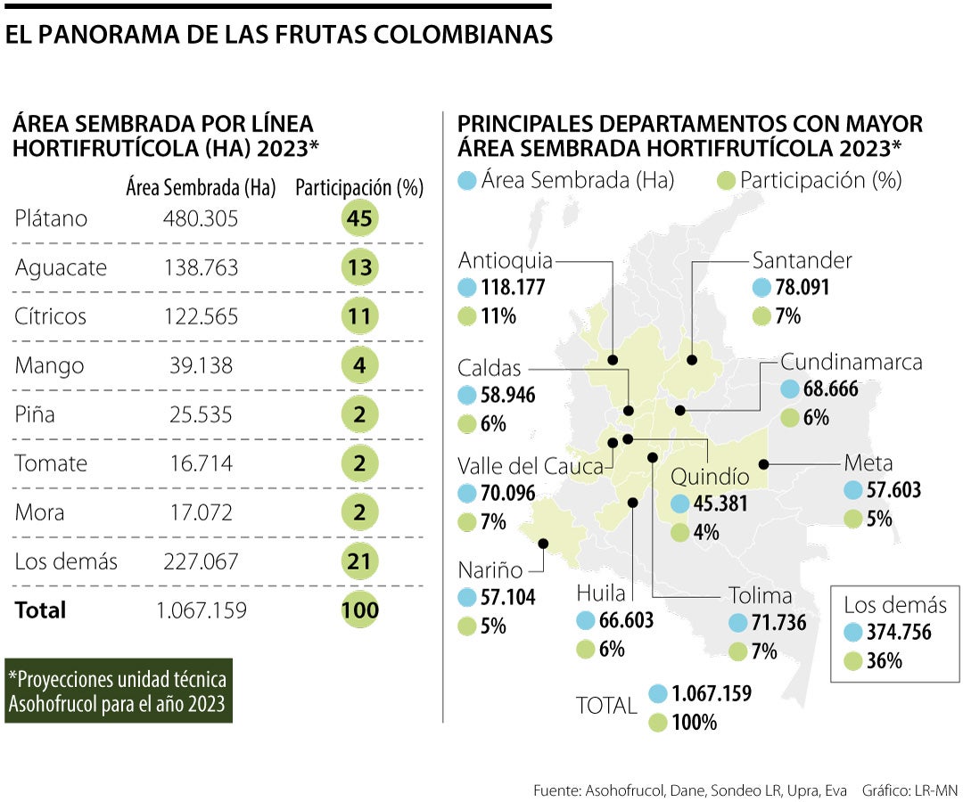 El panorama de las frutas colombianas