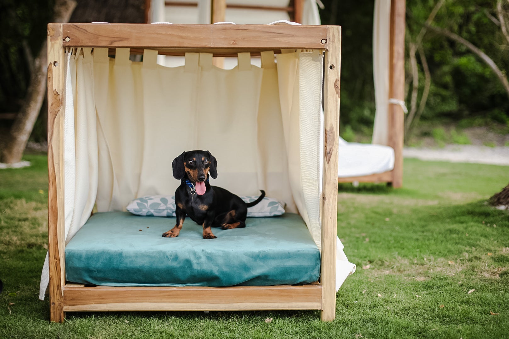 Y como se trata de una experiencia de lujo, muchos coinciden con vivirla con el mejor amiga de la familia: su animal de compañía. Incluso para ellos hay adecuaciones especiales. 