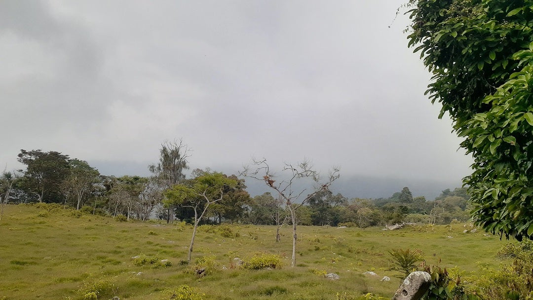 Zona de Reserva Campesina Ve necia Parte Alta