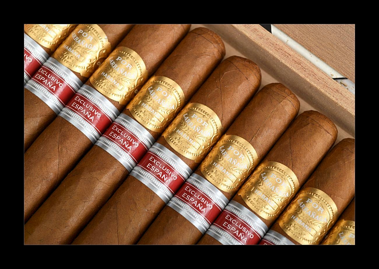 Por Larrañaga Leones Ed. Reg. Exclusiva España