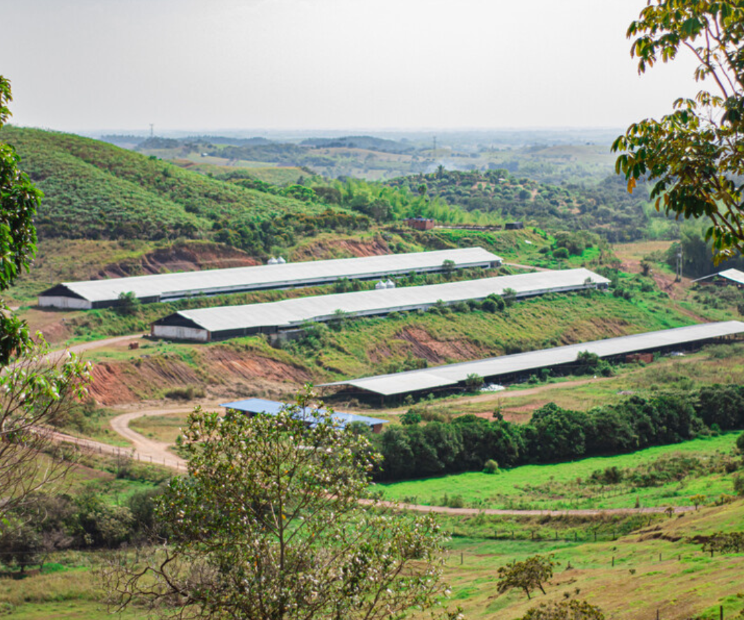Entrega tierras Colprensa