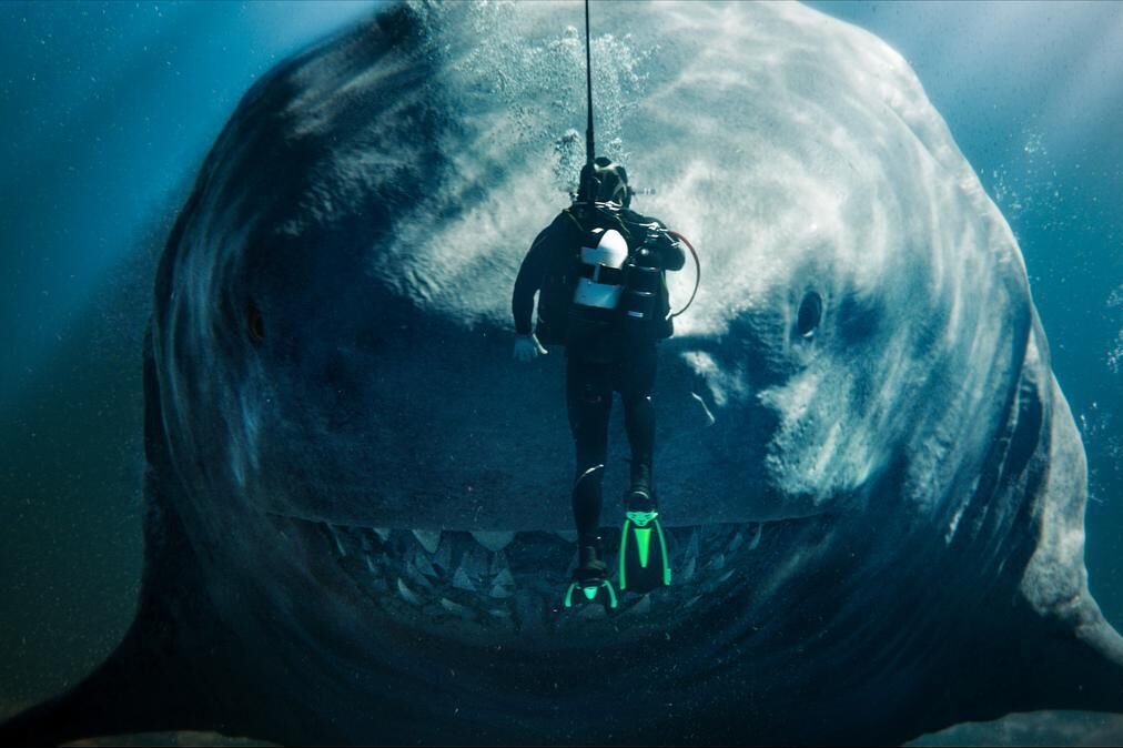 'Megalodón 2' (Movistar Plus, 1 enero)