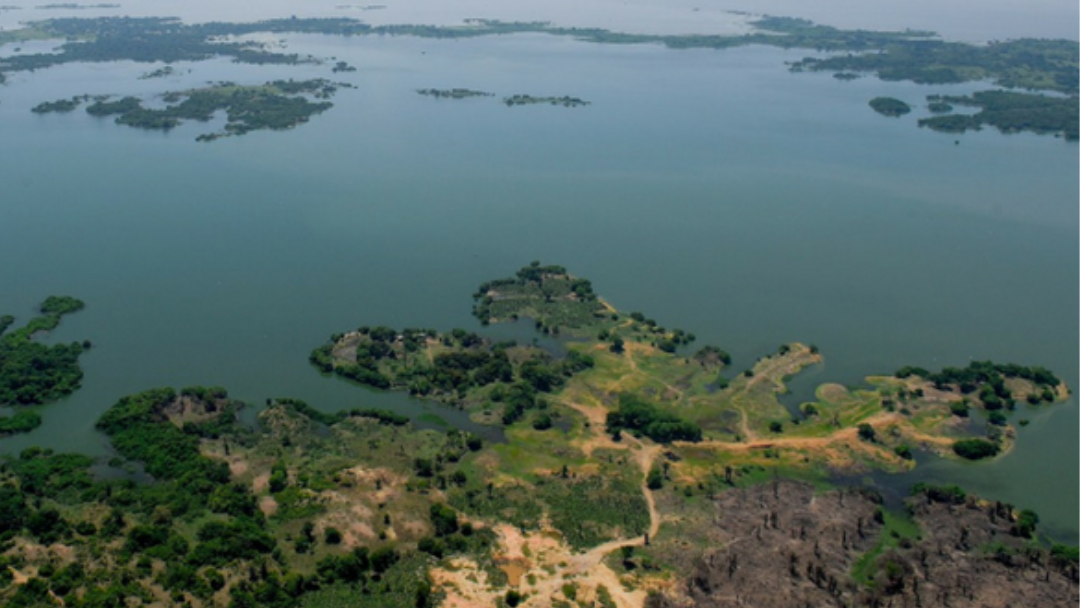 Ciénaga de Zapatosa Ministerio de Ambiente