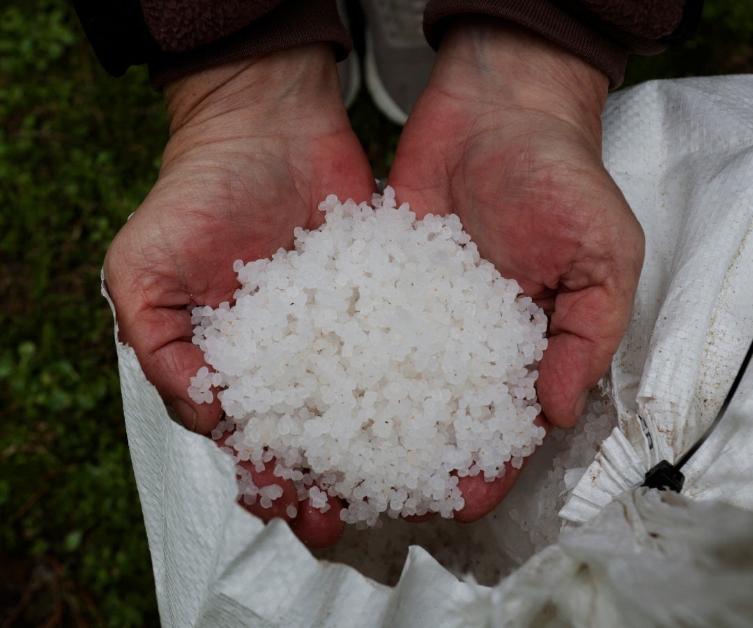 Pellets recogidos en las playas