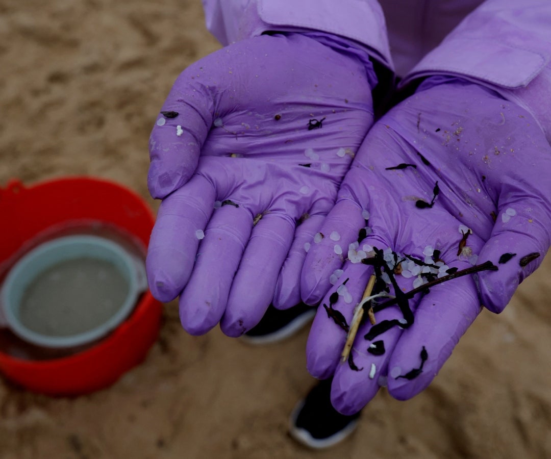 Material orgánico entre pellets recogido