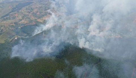 Denuncian nueva quema de plantaciones forestales en veredas de Dagua, Valle del Cauca