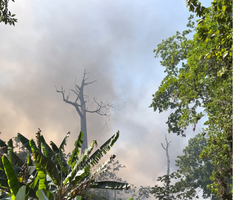 Incendio en el mayor vertedero de residuos de Panamá arroja humo tóxico sobre la capital