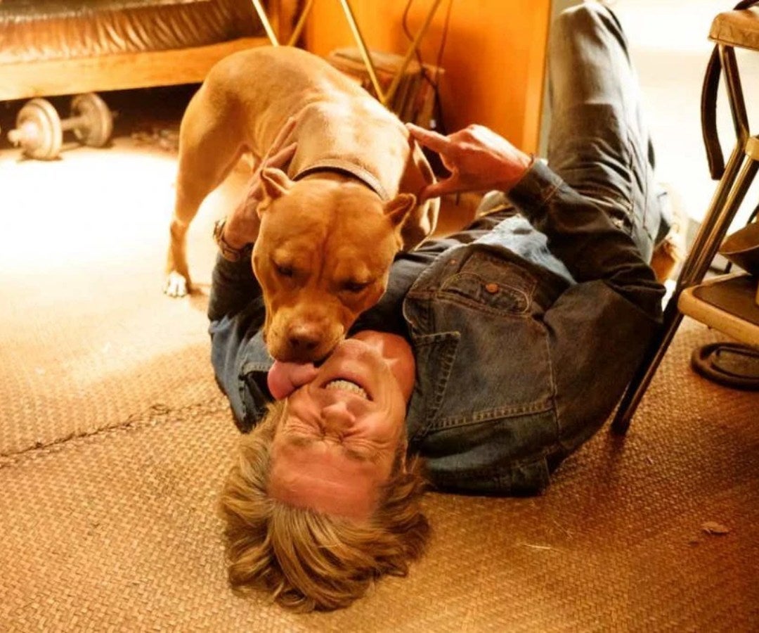 Brad Pitt junto al pitbull Sayuri