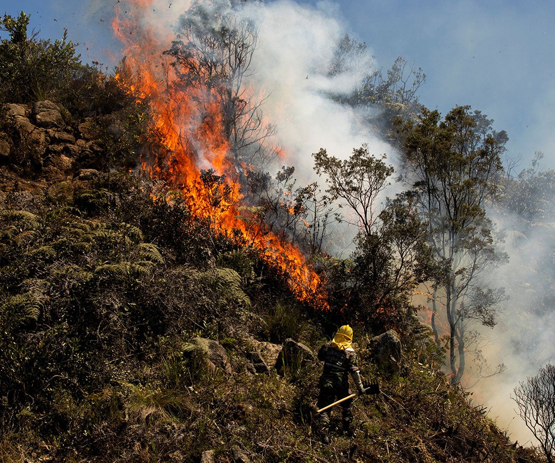 Incendio en Bogotá, zona de El Cable