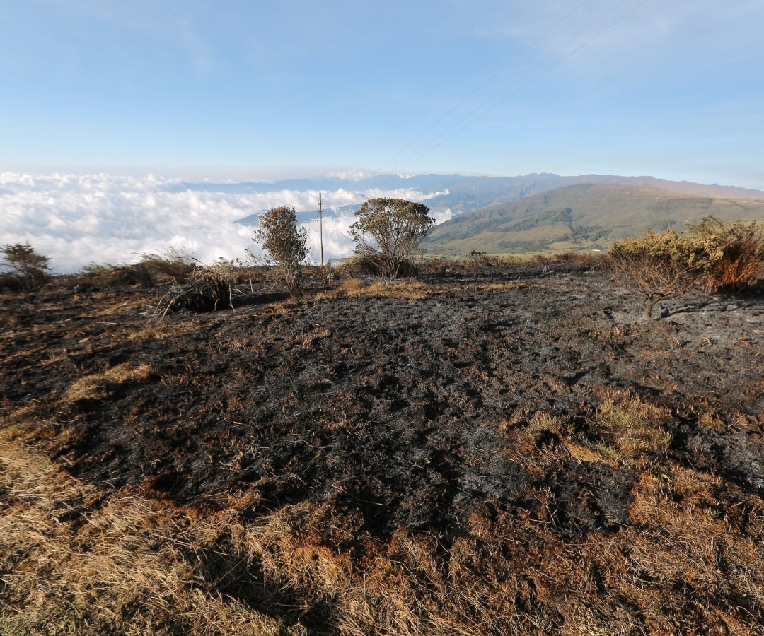 Incendios forestales en Santander