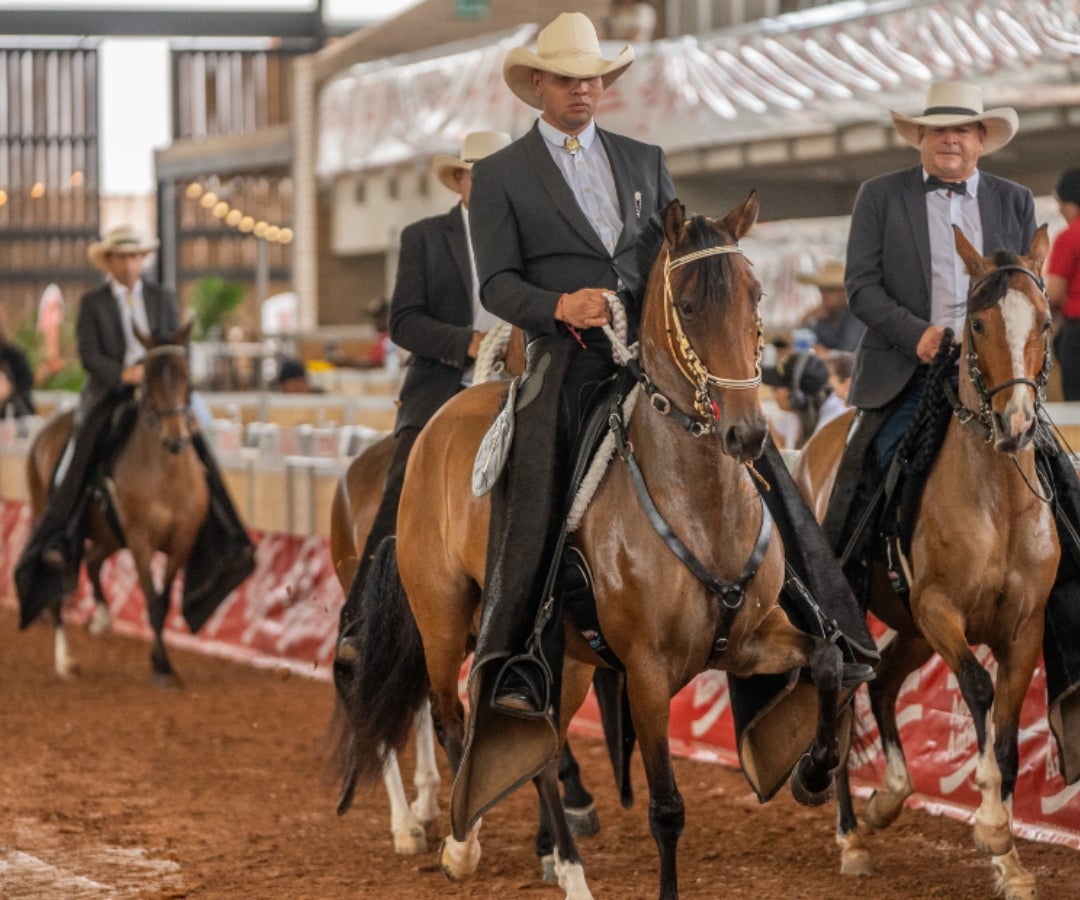 Expo Oriente Equina Grado A Asdesilla 2024