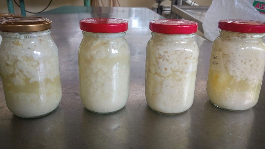 Yogur de soja y almidón de yuca