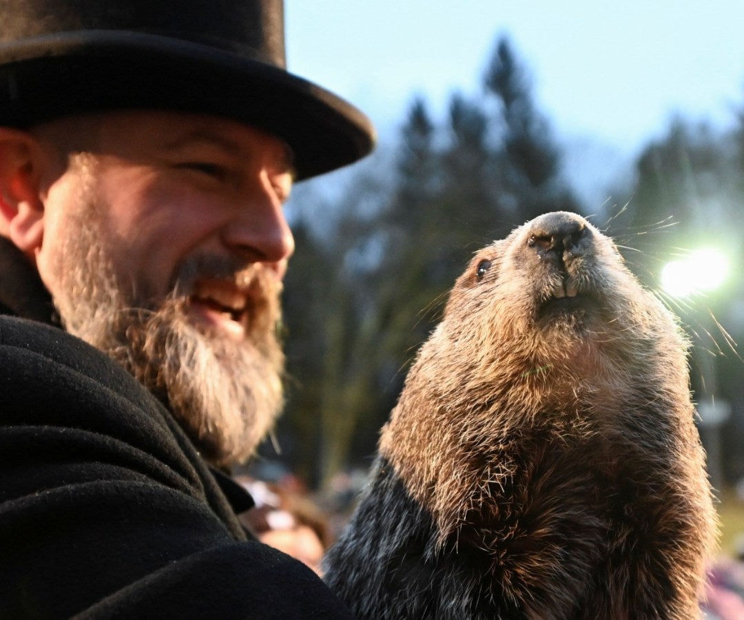 El Groundhog Day o Día de la Marmota en EE.UU.