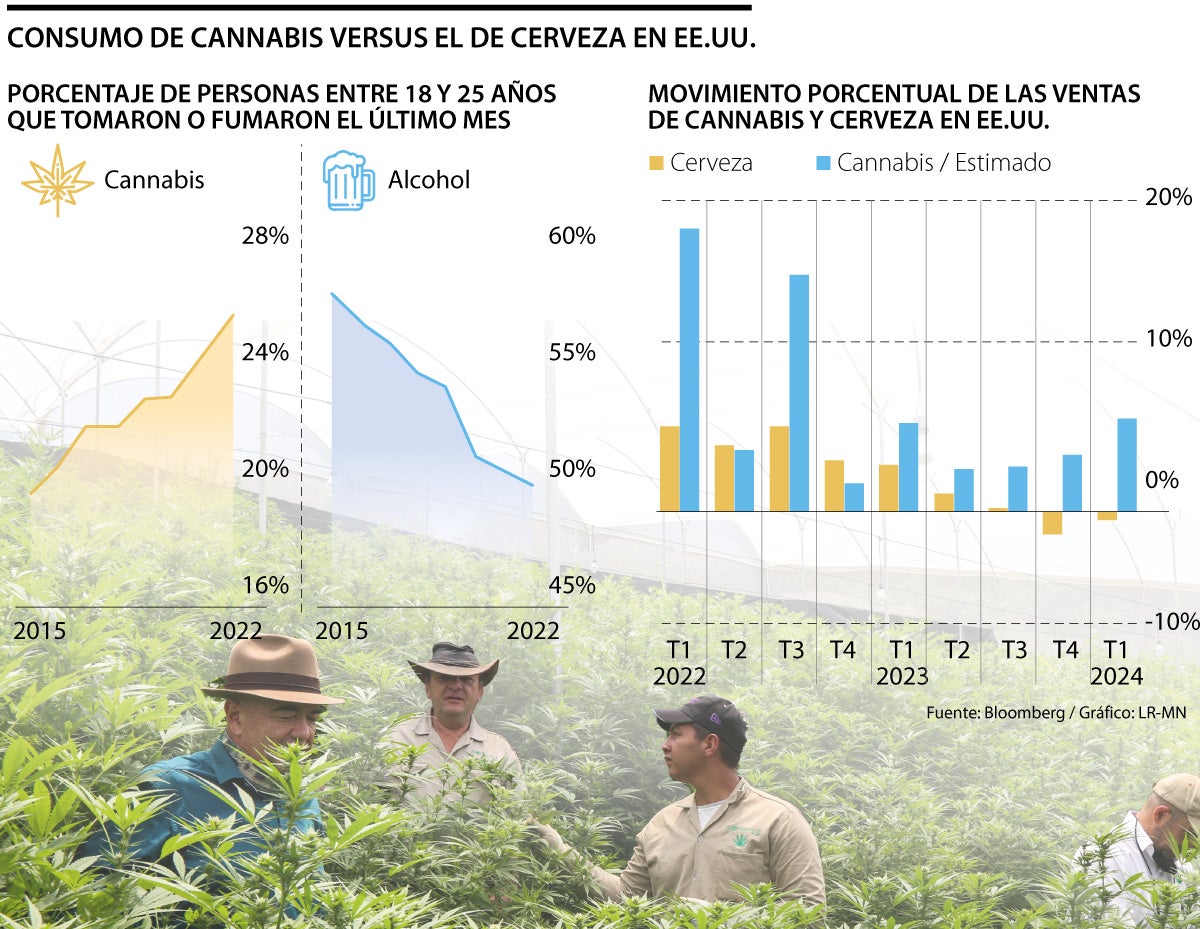 Consumo de cannabis vs cerveza
