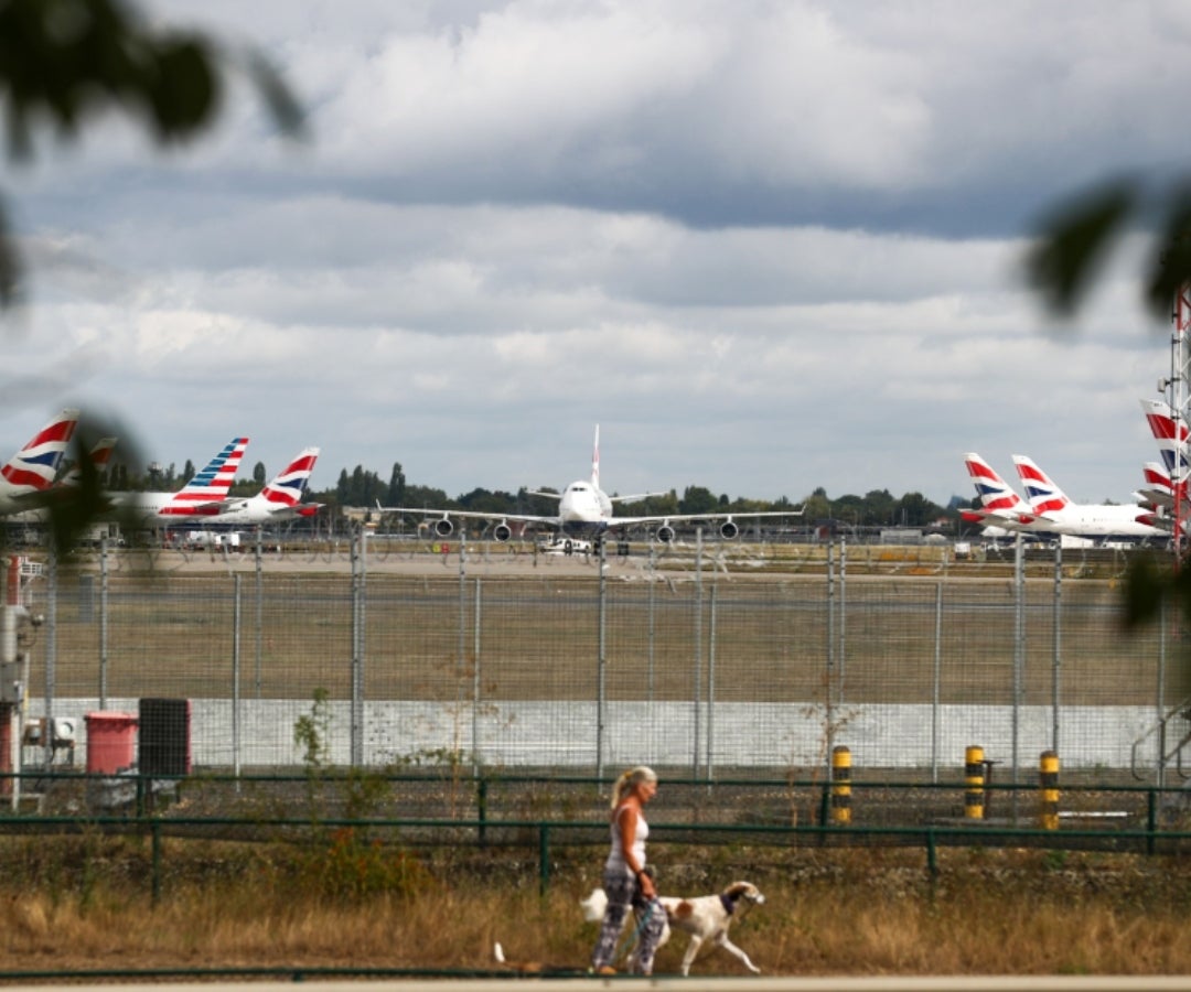 Viaje con mascota LR