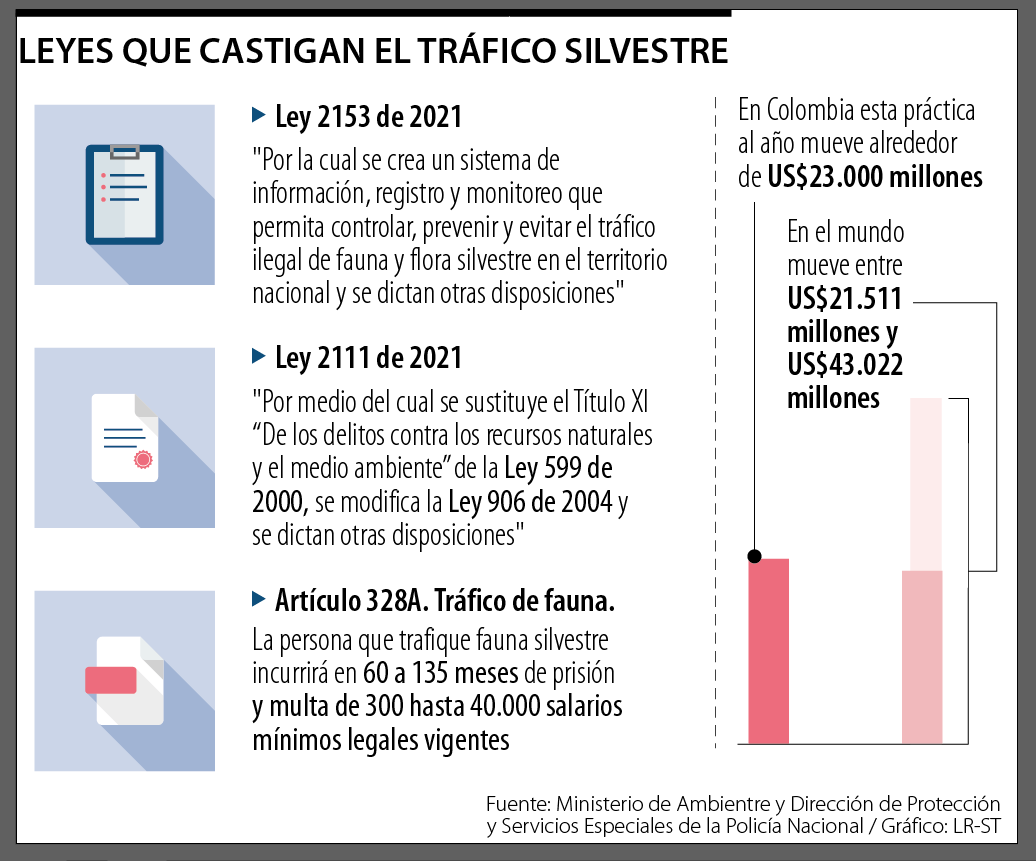 Leyes que castigan el tráfico silvestre