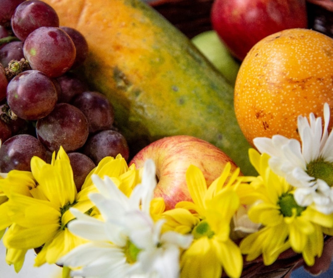 Productos de campesinos LR