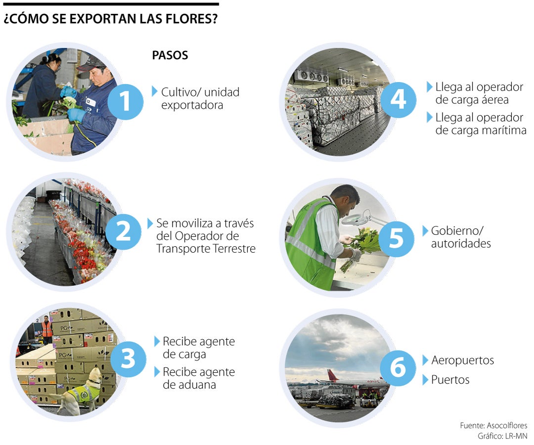 Exportación de flores