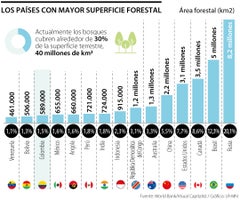 Los países con mayor superficie forestal