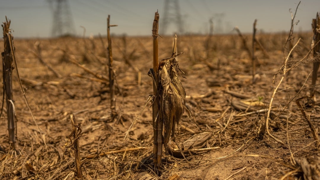 The World Is Quietly Losing the Land