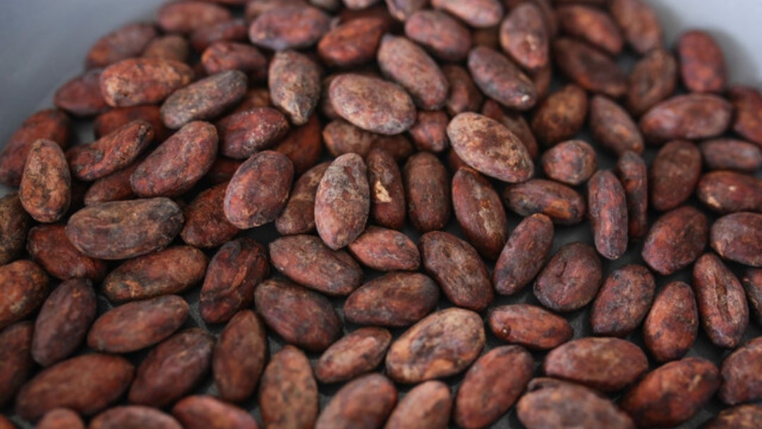 Cacao AN