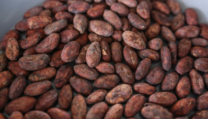 Cacao AN