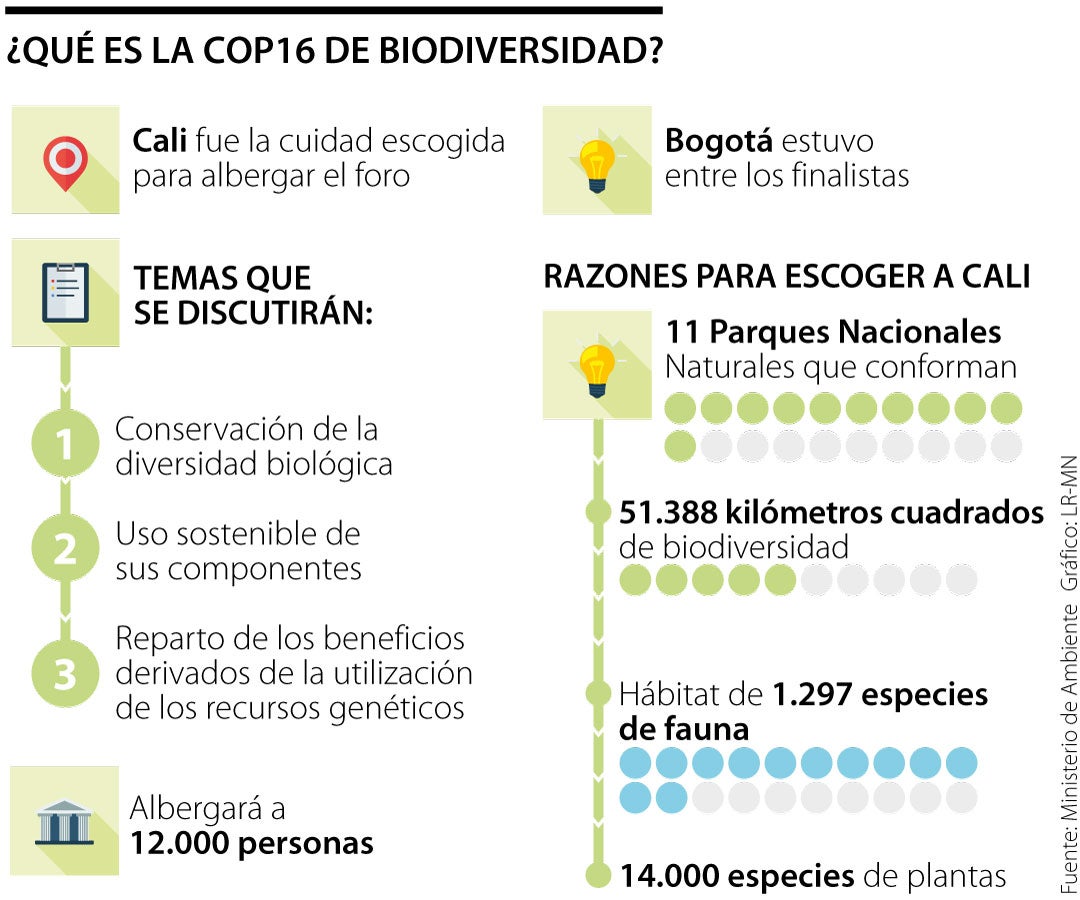 La Cop16 De Biodiversidad Tendrá Un Impacto Económico De Us21 Millones En Cali 4830