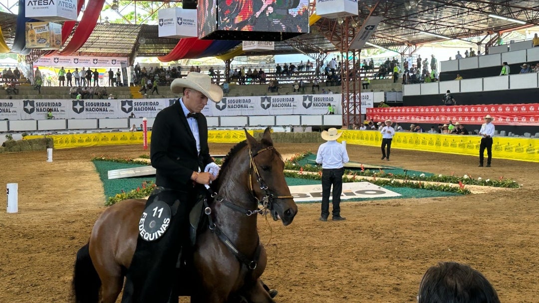 Feria Nacional Equina 2024