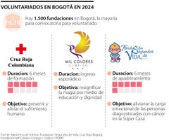 Voluntariados 2024