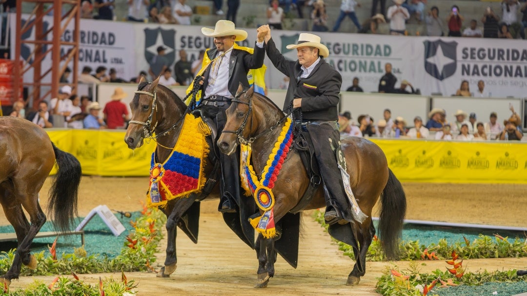 gran campeona y gran campeona reservada paso fino colombiano AN gran campeona y gran campeona reservada paso fino colombiano AN
