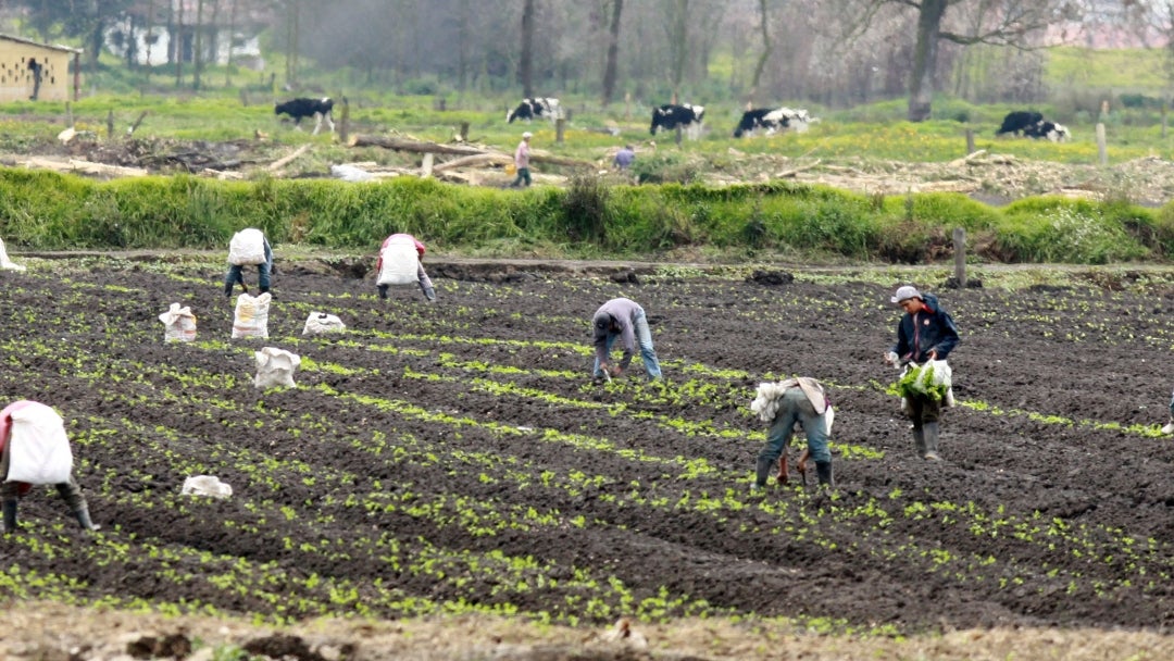 Agricultores