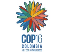Flor de Inírida para la COP16