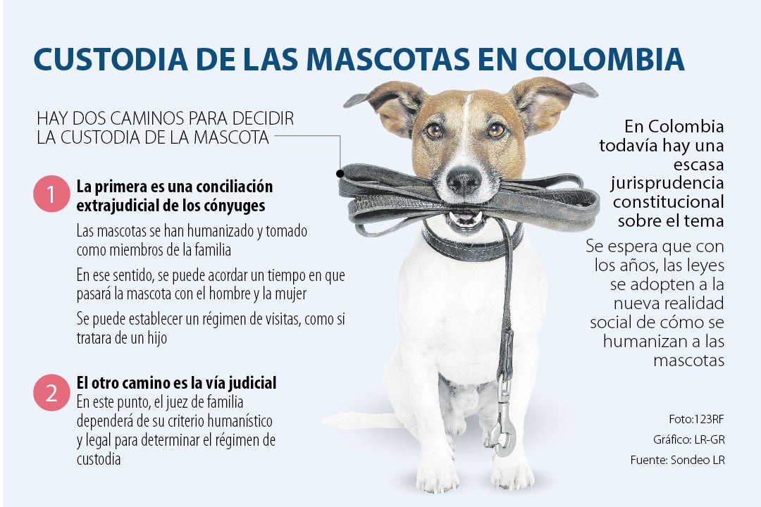 Custodia de las mascotas en Colombia Custodia de las mascotas en Colombia