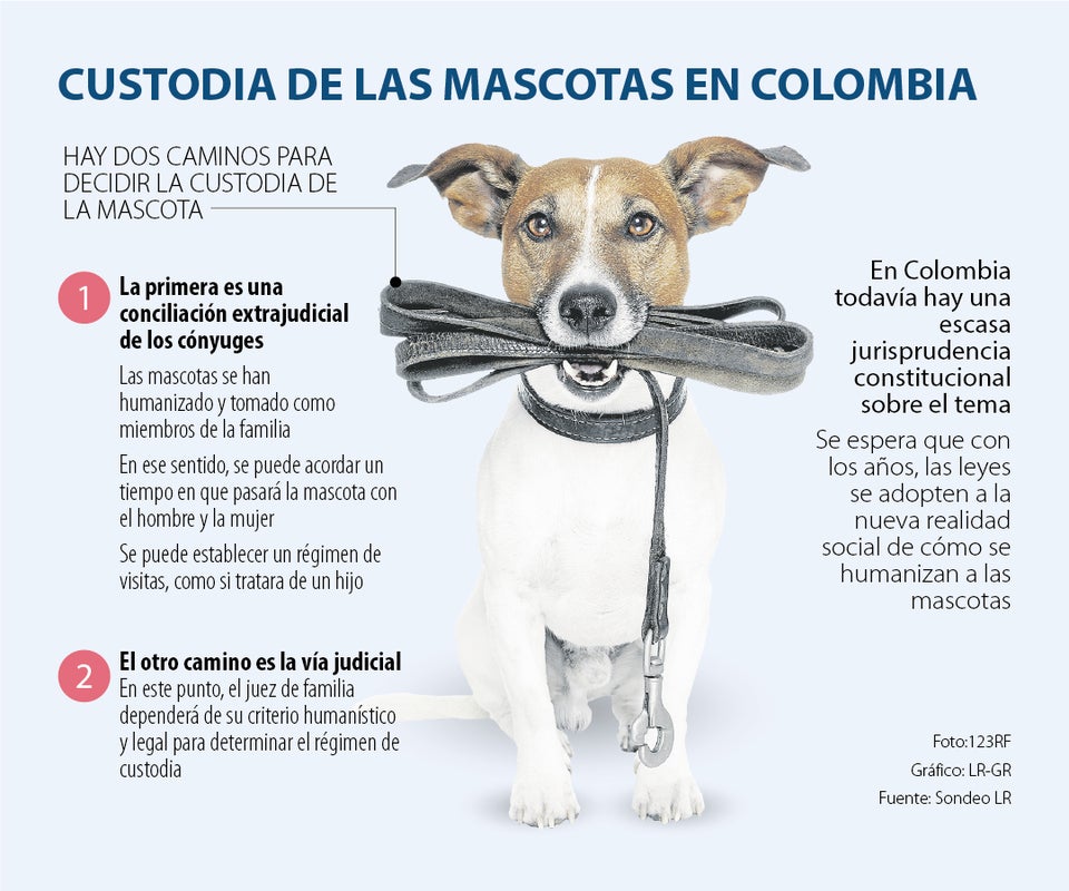 Custodia de las mascotas en Colombia